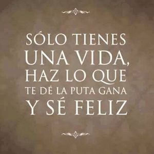 Meet your Posher, Oscar